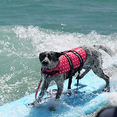 Izefia Dog Life Jacket Swimming Safety Coat Floatation Life Vest Life Saver with Handle for Small Dog Puppy Large Dog (Camouflage, XS) - color: Camouflage, size: X-Small
