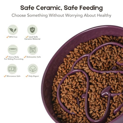 Slow Feeder Dog Bowl, Ceramic Dog Bowls 1.5 Cup Slow Feeding Bowl for Small and Medium Breed, Puzzle Dog Food Bowl for Fast Eater (Purple) - color: Purple