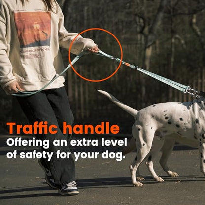 HOWGO Double Dog Leash,Tangle-Free 360 Swivel(Black, Pro M-L w.Handle) | Individually Adjustable Length, Double Padded Handles,Aviation Aluminum Hooks,Durable Nylon,No-Tangle Walking,All Breeds - color: Black, size: Pro M/L Handle