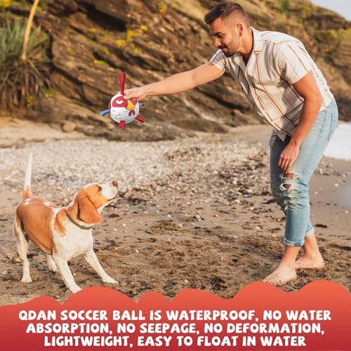 QDAN Dog Toy Balls: Pet Training Soccer Ball Dog Toy with Straps- Puppy Extra Small Dog Balls Beach Pool, Dogs Herding Ball, (5 Inch) - color: Red, size: 5 Inch