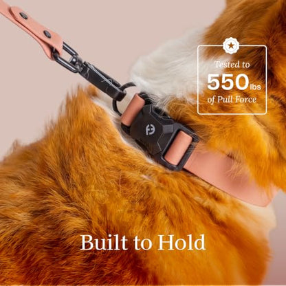 Fei & Eve VERO Dog Collar, Blush, Small | MagEase Magnetic Buckle, Waterproof PVC, Odor Resistant, Easy Clean, Heavy Duty - color: Blush, size: S