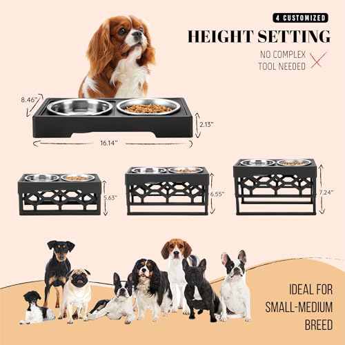AVERYDAY Small Dog Bowls Elevated, 4 Height Adjustable Raised Dog Bowl Stand with 2 Stainless Steel Food and Water Bowls Set, Tall Dogs Feeding Station with Anti-Slip Base for Small Medium Breeds Dogs - color: Black stand + 2 food bowls, size: Small