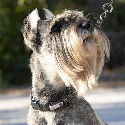 Herm Sprenger Black Stainless Steel Dog Collar with Quick Release ClicLock Buckle and Biothane Insert Training Collar Made in Germany (Pastel Purple, 23in x 3.2mm(Neck Size up to19-20in)) - color: Pastel Purple, size: 23in x 3.2mm(neck size up to19-20in)