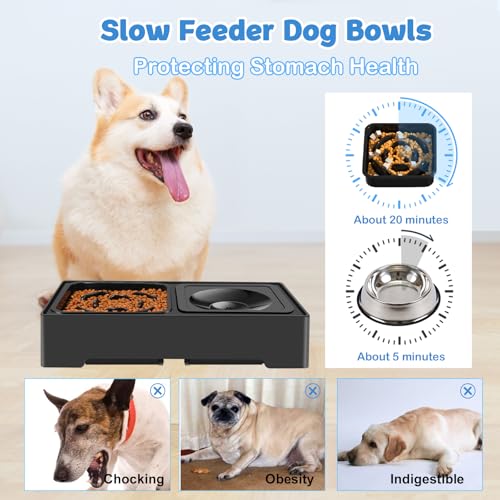 2-in-1 Elevated Slow Feeder Dog Bowls, 4 Height Adjustable Raised Dog Bowls Stand with No Spill Water Bowl, Non-Skid Pet Food Feeding Set for Small, Medium, Large Dogs Cats - size: Slow Feeder