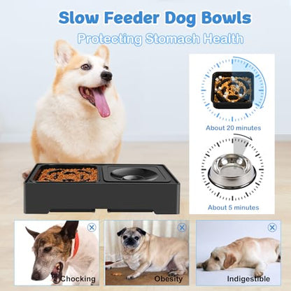 2-in-1 Elevated Slow Feeder Dog Bowls, 4 Height Adjustable Raised Dog Bowls Stand with No Spill Water Bowl, Non-Skid Pet Food Feeding Set for Small, Medium, Large Dogs Cats - size: Slow Feeder