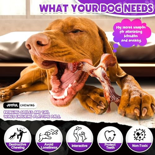 4 Pack Dog Chew Toys for Aggressive Chewers - Tough Indestructible Dog Toys with Bacon Flavor- Durable Nylon Bones Toy for Small Medium Large Breed - Puppy Gifts - size: Medium