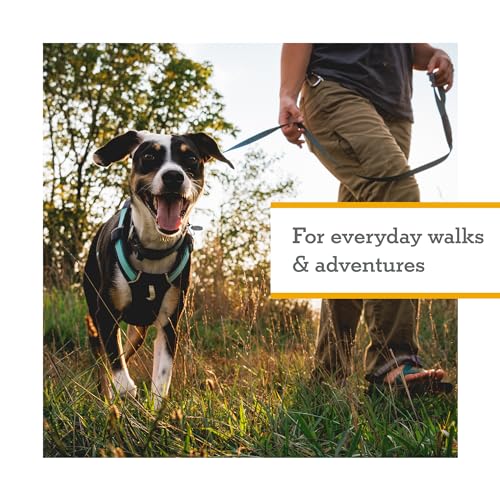 Ruffwear, Hi & Light, Everyday Lightweight Dog Harness, Trail Running, Walking, Hiking, All-Day Wear, Basalt Gray, XX-Small - color: Basalt Gray, size: XX-Small