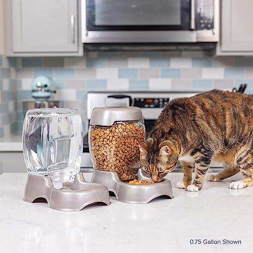 Petmate Pet Cafe Cat and Dog Water Dispenser Extra Small Water Bowl for Kittens and Puppies, USA Made, 0.25 GAL, 7.3"H, Pearl Ash Blue - color: Pearl Ash Blue, size: 0.25 GAL