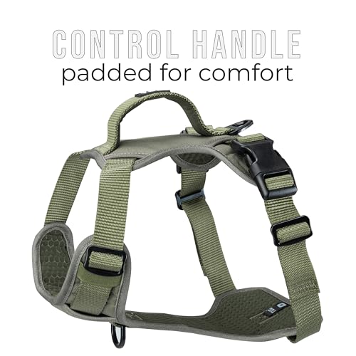 TUG Dog Harness with 2 Leash Connection Points | Adjustable, Padded, Lightweight | Handle on Back | No-Pull Front Clip (XL, Green) - color: Green - Basic Harness, size: XL