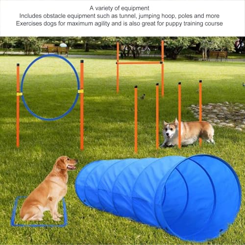 Dog Agility Training Kit with Tunnel, Ring, and Poles – Lightweight, Easy to Assemble, ABS and Polyester Construction