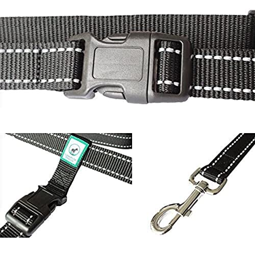 Caldwell's Pet Supply Co. Hands-Free Dog Leash, Adjustable Waist Leash for Dog Walking, Non-Bungee, Hands Free Harness, Durable and Versatile Waist Belt Leashes, Cross Body for Dogs (26" - 47")