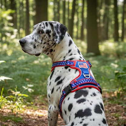 XXL Giant Dog Harness, Maximum Control Heavy Duty Training Gear, No Pull Big Doggy Vest with Neck Buckle, Breathable Padded Straps & Strong Handle for Puppy Rottweiler, Great Dane (XX-Large) - size: XX-Large