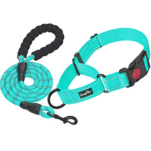 haapaw Martingale Dog Collar with Quick Release Buckle Reflective Dog Training Collars for Small Medium Large Dogs - color: Turquoise, size: S
