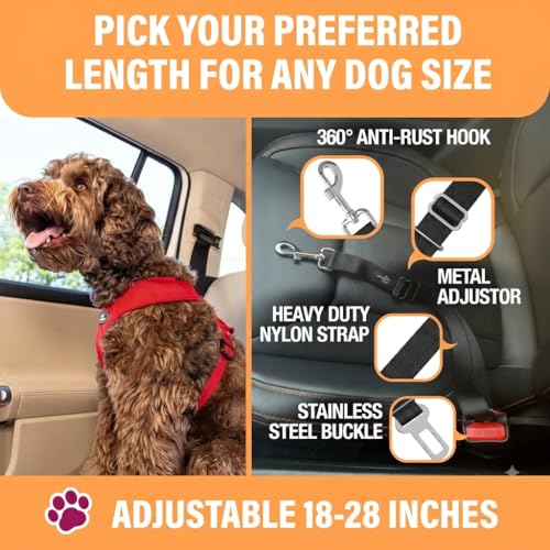 Active Pets Black Car Seat Belt for Dogs, Attaches to Harness & Collar, Adjustable 18" - 24" Travel Restraint System Fits Small - Large Pups for Safety & Comfort, Essential Pet Supplies & Accessories - style: Black - 1 Pack