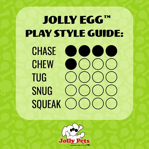 Jolly Pets Jolly Egg Dog Toy, 12 Inches/Large, Purple - color: Purple, size: Large (12 in)