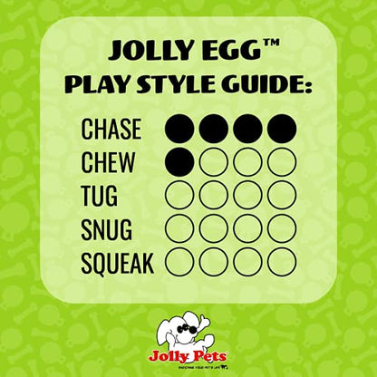 Jolly Pets Jolly Egg Dog Toy, 12 Inches/Large, Purple - color: Purple, size: Large (12 in)