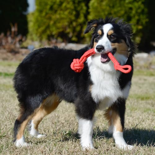 Playology Dog Toys | Tough Tug Knot for Puppies and Young Dogs | Beef Scented Medium Chew Toy Tug Rope | Tug of War Puppy Essentials - size: Medium, style: Beef