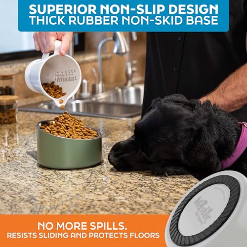 Master Pet Supply Stainless Steel Slanted Dog Cat Food Bowl - 24 oz Heavy Duty - Bone White, Double Wall Insulated, Non-Slip Elevated Bowl for French Bulldogs Pugs Cats, Anti Rust Dishwasher Safe - color: Bone White, size: 3 Cups (24 oz)