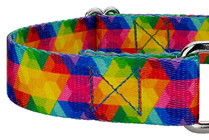 Country Brook Petz - Kaleidoscope Martingale Dog Collar - Groovy Collection Featuring Far Out Designs (1/2 Inch, 2XS) - color: Kaleidoscope, size: 2XS (Pack of 1)