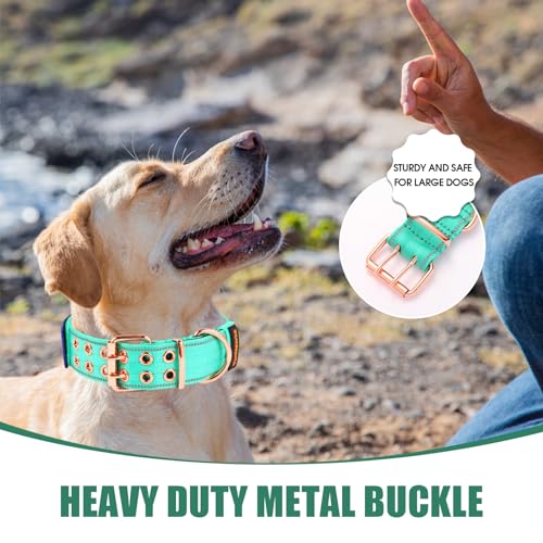 Heavy Duty Tactical Dog Collar with Neoprene Padded and Metal Buckle, Reflective Nylon for Medium to Large Dogs(Teal, Large) - color: Teal, size: Large (Pack of 1)