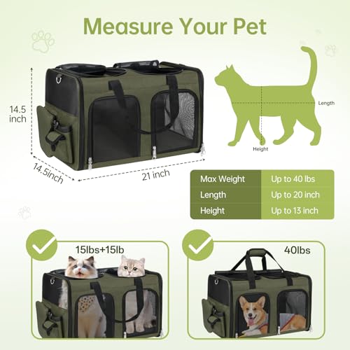 Cat Carrier for 2 Cats - Double Pet Carrier Extra Large, Dual Cabin Multi Cat Travel Carrier with Removable Divider, Collapsible, Can Hold 20 30 40 lbs for Two Kitten Green 2026 Upgraded - color: Green Upgraded