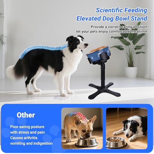 Dog Bowls,Elevated Adjustable Dog Bowl Stand with 3 Heights & Tilted Feeding Design, Raised Stand Compatible with Medium & Large Breeds(with Bowl) Black - size: Dog Bowl Stand 1 Pack With Bowl