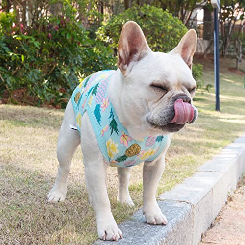 CuteBone Dog Shirts 2-Pack Soft Pet Clothes Breathable Summer Vest for Small Puppy and Stretchy Cat Apparel - color: Flowers&pineapple, size: Small