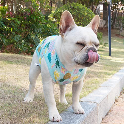 CuteBone Dog Shirts 2-Pack Soft Pet Clothes Breathable Summer Vest for Small Puppy and Stretchy Cat Apparel - color: Flowers&pineapple, size: Small