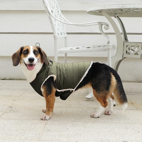 Vecomfy Fleece Lining Dog Hoodie with Harness Built in,Extra Warm Small Dog Jacket in Winter Puppy Coats with Drawstring Hooded,Green XS - color: Green(Harness Built in), size: X-Small (Pack of 1)