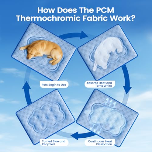 Dog Cooling Mat, Thick Cooling Mat for Extra Large Dogs with PCM & Thermochromic Tech, Dual-Sided Durable Waterproof Cool Dog Bed Mat, Q-Max>0.5, Machine Washable, Non-Toxic - XL(31" x 43") - size: X-Large