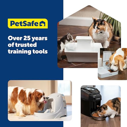 PetSafe Drinkwell Replacement Carbon Filter, Dog and Cat Water Fountain Filters, pack of 3 - size: 3 Filters