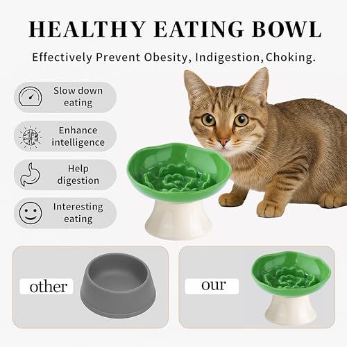Ceramic Slow Feeder Bowl for Cats and Small Dogs, Elevated Tilted Pet Food Dish, Whisker Friendly Anti-Vomit Design, Heavy Stable Base, Dishwasher Safe， 5 Colors Options (Leaf Green) - color: Leaf Green
