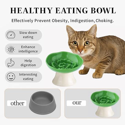 Ceramic Slow Feeder Bowl for Cats and Small Dogs, Elevated Tilted Pet Food Dish, Whisker Friendly Anti-Vomit Design, Heavy Stable Base, Dishwasher Safe， 5 Colors Options (Leaf Green) - color: Leaf Green