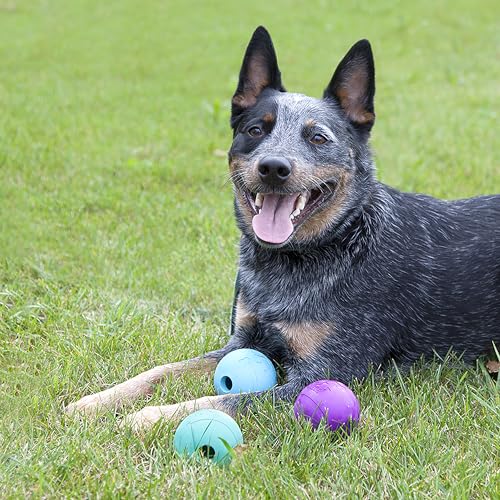 Chew King Fetch Balls Extremely Durable Natural Rubber Toy Pack of 3 - 3 inch Balls (CM-0263-CS01) - color: 3-Pack (3" Balls) - Blue, Purple, Turquoise