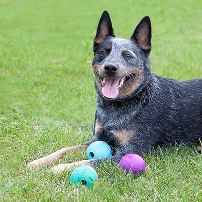 Chew King Fetch Balls Extremely Durable Natural Rubber Toy Pack of 3 - 3 inch Balls (CM-0263-CS01) - color: 3-Pack (3" Balls) - Blue, Purple, Turquoise