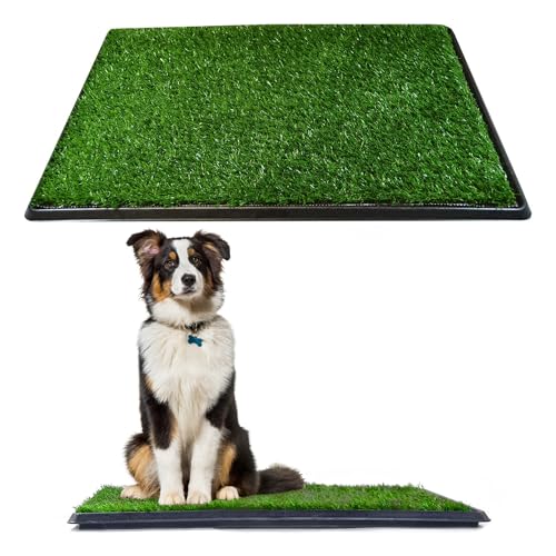 Downtown Pet Supply Dog Grass Pad with Tray, 20 x 30 - Outdoor and Indoor Potty System for Dogs with Replaceable Synthetic Grass Pee Turf - Portable and Waterproof Turf Dog Potty - size: 20" x 30"