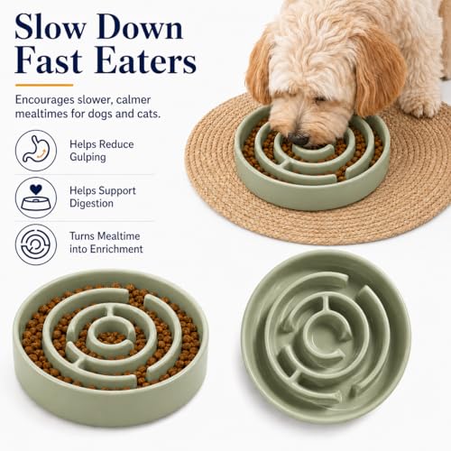 Ceramic Slow Feeder Dog Bowls with Anti-Slip, Slow Feeder & Non-Slip Design, Boredom and Anxiety Reducer, Suitable for All Breed Dogs and Cat (Ceramic-Green) - color: Ceramic-Green