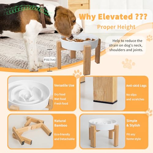 Elevated Slow Feeder Dog Bowl - Ceramic Food Dish with Bamboo Stand - Raised Maze Design - Ideal for Medium to Large Dogs - White - 8.8 inch - color: White, size: 2.5 CUP