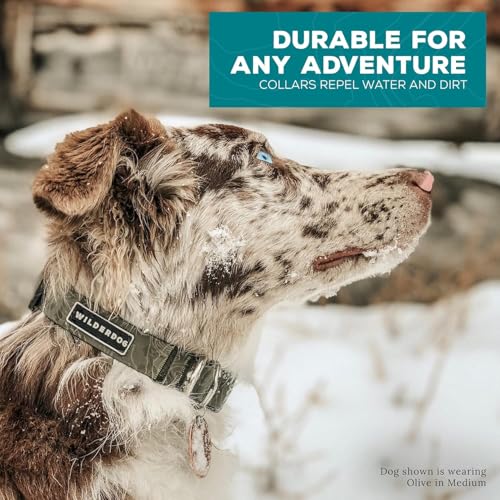 Wilderdog Waterproof Dog Collar - Repels Water & Dirt - Medium 13"-18" - Olive - color: Olive, size: Medium