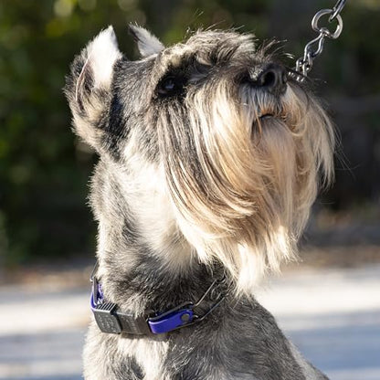 Herm Sprenger Black Stainless Steel Dog Collar with Quick Release ClicLock Buckle and Biothane Insert Training Collar Made in Germany (Blueberry Royal, 23in x 3.2mm(Neck Size up to19-20in)) - color: Blueberry Royal, size: 23in x 3.2mm(neck size up to19-20