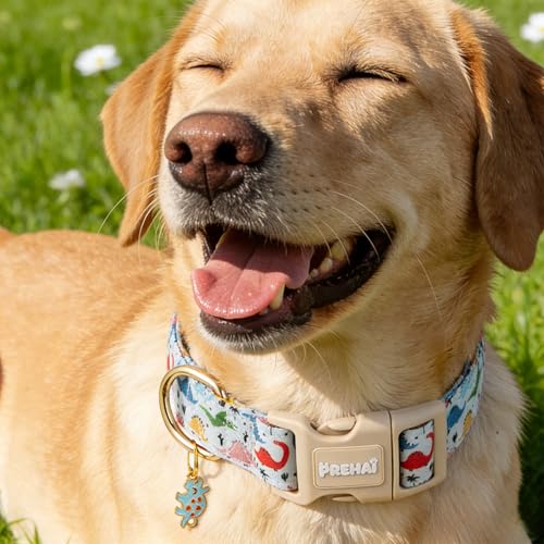 PREHAI Light Blue Dinosaur Dog Collar Funny Spring Summer Collars with Cute Dinosaurs Pattern for Boy Male Small Medium Large Dogs M - color: Light Blue Dinosaur, size: M