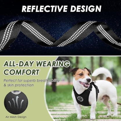 Lukovee Dog Car Harness Seat Belt, Adjustable Mesh Breathable Vest with Elastic Bungee Tether, Soft Padded 2-in-1 Safety Car Harness Seatbelt for Small Medium Large Dogs (Black,XXS) - color: Black, size: XX-Small