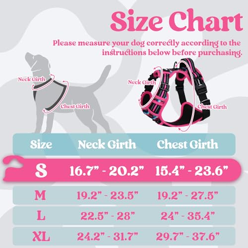 rabbitgoo Dog Harness Small Sized, No Pull Easy On & Off with 3 Buckles Pet Harness, Adjustable Soft Walking Vest with 2 Clips and Handle, Reflective for Small Dogs, Mountain Rose, S - color: Mountain Rose, size: Small