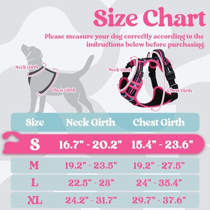 rabbitgoo Dog Harness Small Sized, No Pull Easy On & Off with 3 Buckles Pet Harness, Adjustable Soft Walking Vest with 2 Clips and Handle, Reflective for Small Dogs, Mountain Rose, S - color: Mountain Rose, size: Small