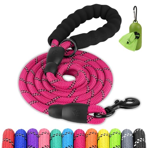 Joytale Dog Leash for Large Dogs, Heavy Duty Nylon Leashes with Comfortable Padded Handle and Highly Reflective Threads, Ideal for Walking and Training, Hotpink, 5'×1/2'' - color: Hot Pink, size: 5FT×1/2'' (20~120 lbs)