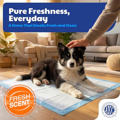 American Kennel Club Scented Puppy Training Pads with Ultra Absorbent Quick Dry Gel – 22 x 22 Pee Pads for Dogs - Fresh Scented - Pack of 100 - size: 22 x 22 - 100 Count