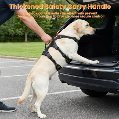 Escape Proof Dog Harness and Leash Set,Soft Padded Full Body Pet Harness, No Pull Reflective Adjustable Dog Vest with Handle, Easy Control Dog Harness for Medium Large Dogs Training Walking Running - color: Black, size: L
