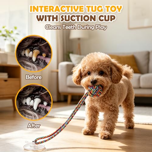 2PCS Dog Tug of War Toy with Suction Cup, Interactive Dog Toy, Pet Cotton Rope with Treat Food Dispensing Ball, Puppy Teething Toys for Chewers