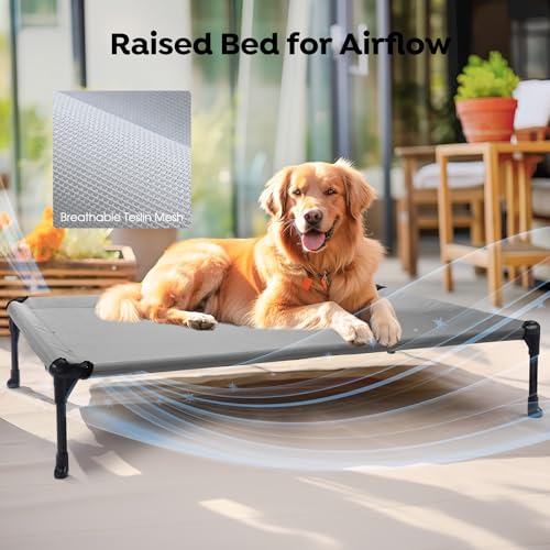 Veehoo Raised Dog Bed - Cooling Elevated Pet Cot with Mesh, No-Slip, Durable for Large Dogs, 42" x 30", Grey, CWC1803-L - color: 2Packs- Grey, size: 42.0"L x 30.0"W x 7.0"Th