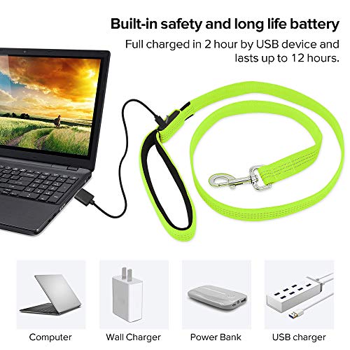 Candofly Glowing LED Dog Leash, Rechargeable Pet Leash with Lights, 4 Ft Light Up Dog Leash for Night Walking Keep Your Pets Visible (Neon Green) - color: Neon Green